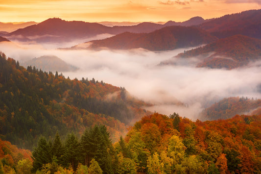 A Serene Red Sunrise Over the Carpathian Mountains: Enjoy the Relaxing Autumn Morning Fog